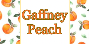 Gaffney Peach car diffuser